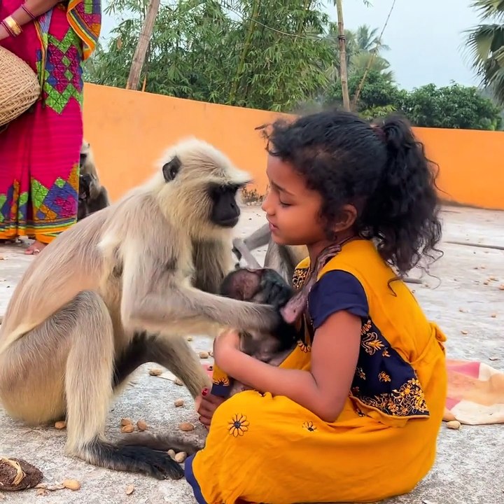 Cute Girl and Cute Monkey
