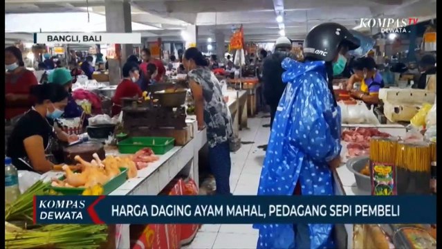 Harga Daging Ayam Mahal, Pedagang Sepi Pembeli