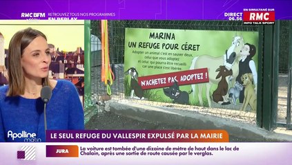 RMC s’engage pour vous : Un seul refuge du Vallespir expulsé par la mairie - 20/01