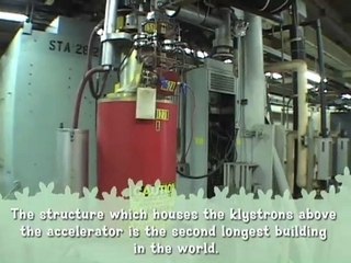 Stanford Linear Accelerator