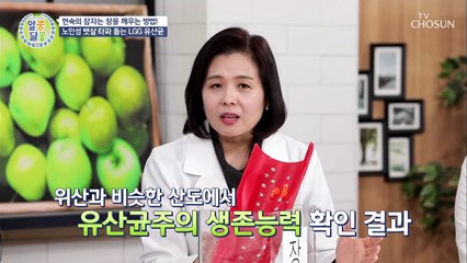장내 환경개선& 비만 까지 잡는 ❛LGG 유산균❜ TV CHOSUN 20220120 방송
