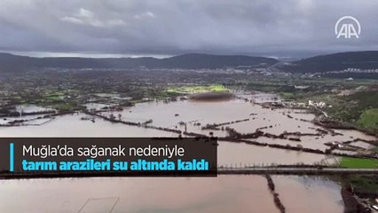 Muğla'da sağanak nedeniyle tarım arazileri su altında kaldı