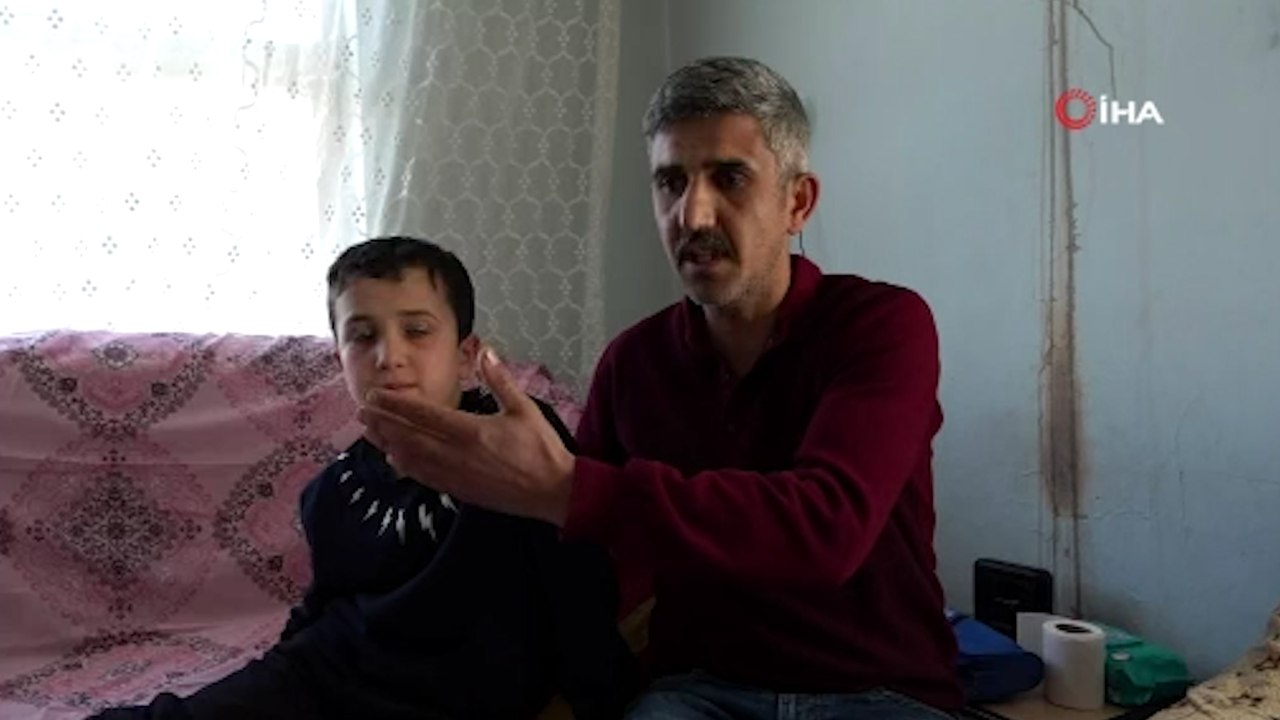 Sokak Köpekleri bir çocuğa daha saldırdı