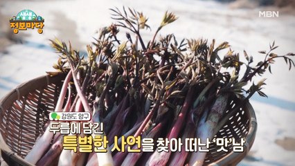 생생 정보마당 [1037회]