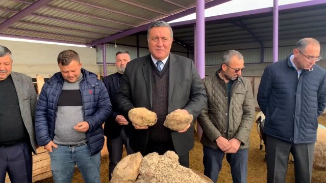 Açıklanan pancar taban fiyatı ancak maliyeti kurtarır, şeker fiyatı 10 lirayı aşar