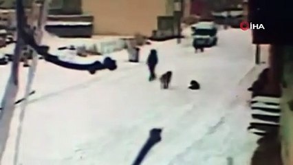 Başı boş köpeklerin saldırısına uğrayan çocuğu ''cesareti'' kurtardı