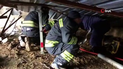 Gaziantep’te ahır çöktü, 10 hayvan telef oldu