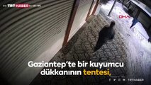 Kardan çöken tentenin altında kalmaktan saniyelerle kurtuldu