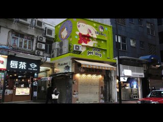 Hong Kong will cull thousands of hamsters after Covid cases in a pet shop