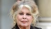 VOICI : Brigitte Bardot fâchée avec son fils : quels liens entretient-elle avec ses petites filles et arrière-petits-enfants ? (1)
