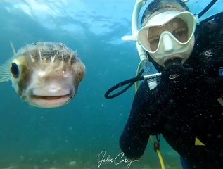 السمكة الأخطر في العالم تبتسم: فيديو سيدهشك حين تراها لأول مرة