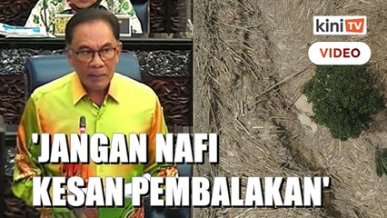 Dedahkan semua lesen pembalakan dilulus dalam 5 tahun - Anwar