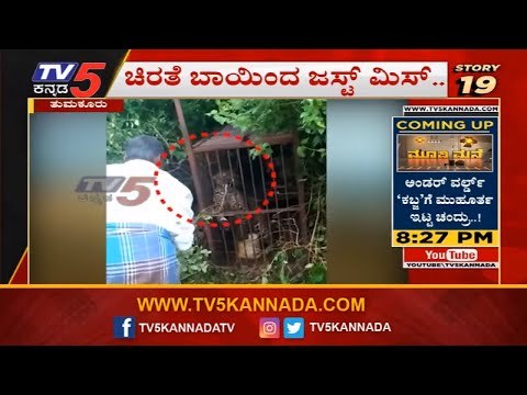 24 ಗಂಟೆ 24 ಸುದ್ದಿ | ಚಿರತೆ ಬಾಯಿಂದ ಜಸ್ಟ್ ಮಿಸ್..!| 24 Hours 24 News | TV5 Kannada
