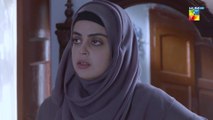 Bebaak, Episode #29, HUM TV Drama, HD Full Official Video - 17 January 2022