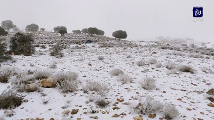 مشاهد خلابة للثلوج في جبال الهيشة بالشوبك