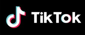 TikTok heyeti TBMM Dijital Mecralar Komisyonu'nda sunum yaptı