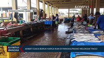 Akibat Cuaca Buruk, Harga Ikan di Pangkalpinang Melonjak Naik