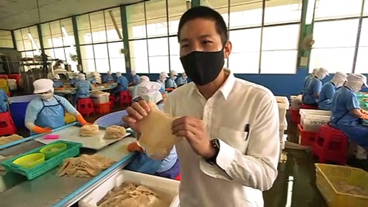 Statt Fisch auf dem Tisch: In Thailand boomt das Superfood Quallen