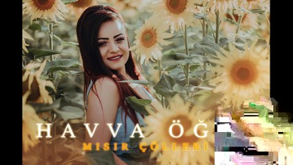 Havva Öğüt Mısır Çölleri