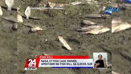 Nasa 27 fish cage owner, apektado ng fish kill sa Ilocos Sur | 24 Oras