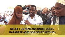 Relief for Kenyans on refugees database as 12,500 issued with IDs