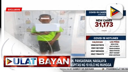 80-anyos na lolo sa Asingan, Pangasinan, nakalaya matapos makulong dahil sa pagpitas ng 10kilo na mangga