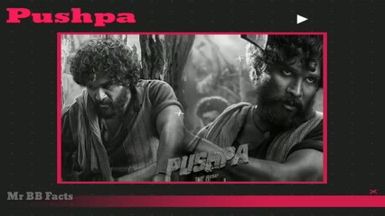 पुष्पा मुव्ही पर ये क्या बोल गये अक्षय कुमार _ Allu Arjun ने दिया जवाब _ Pushpa Movie facts in hindi