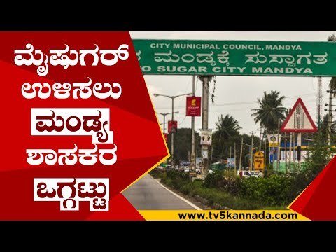 ಮೈಷುಗರ್ ಉಳಿಸಲು ಮಂಡ್ಯ ಶಾಸಕರ ಒಗ್ಗಟ್ಟು | SURESH GOWDA | ANNADANI | DC THAMMANNA | TV5 KANNADA