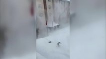Peligrosos desprendimientos de nieve en Turquía