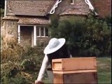 To The Manor Born - S03E04 - Birds Vs Bees