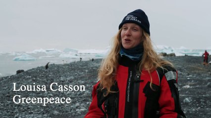 Greenpeace in the Antarctic Peninsula