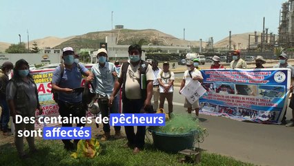 Marée noire au Pérou: 18km2 de côte souillés