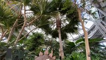 Take a look at the history of Sunderland Museum and Winter Gardens and discover a fantastic day out
