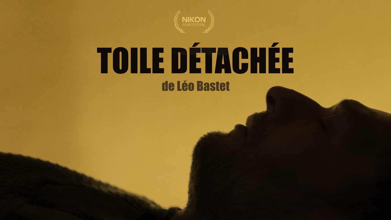 Toile détachée