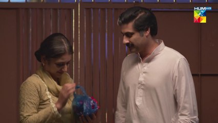Badnaseeb, Episode #65, HUM TV Drama, Official HD Video - 20 January 2022