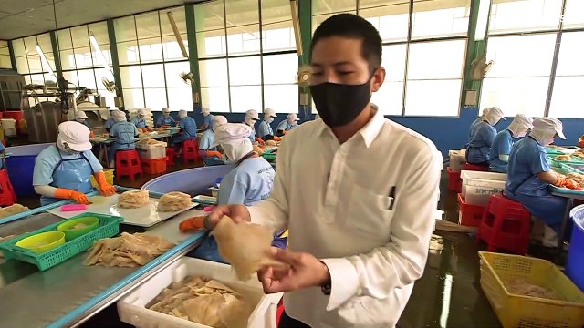 Новая пища будущего : медуза