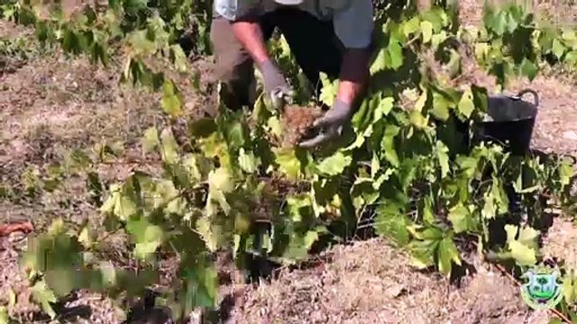 Presentación de comarcas de la provincia de Córdoba en FITUR 2022