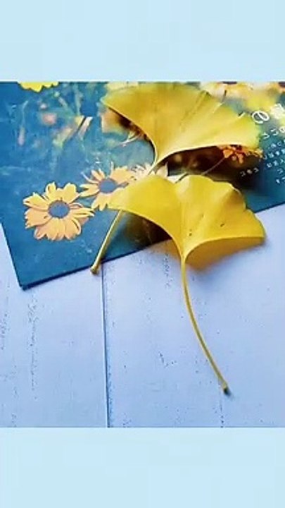 Easy  Butterfly decoration