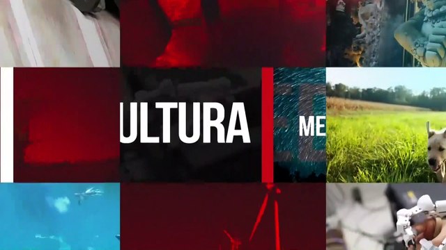 ¿CUÁLES SON LOS TIPOS DE TRATA MÁS COMUNES?