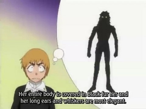 BLEACH 164 PREVIEW VOSTA