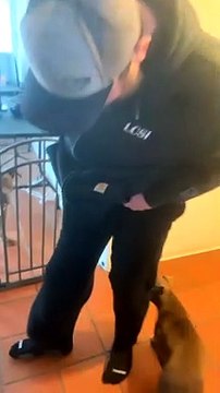 Puppy Crawls into Owners Pants Falls Out the Pant Leg