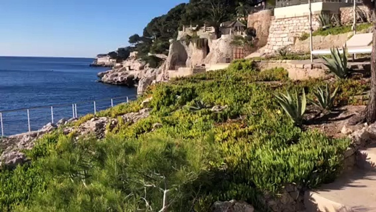 L'hôtel bénéficie de jardins naturels avec accès à la mer.