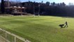 La pelouse du stade Christian Martelli où s'entraînera le XV de France à Aubagne.