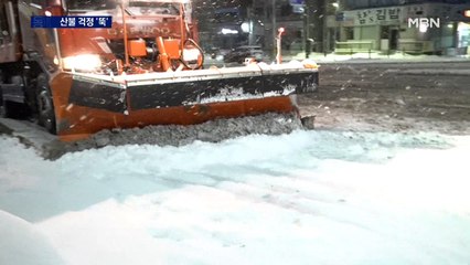 눈 30cm 쌓인 동해안 산불 걱정 '뚝'…동장군 기세등등