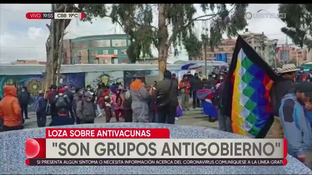 Senador Loza: 'Antivacunas ahora ya son grupos antigobierno'