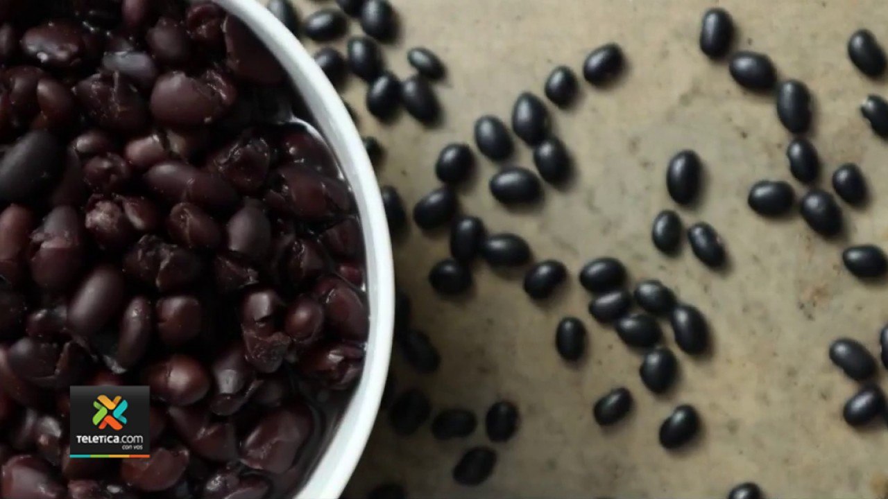tn7-Precio-del-frijol-aumentaría-hasta ₡100-por-bolsa,-según-empresarios-200122