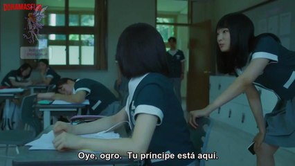 BELLEZA EN SOMBRAS 5