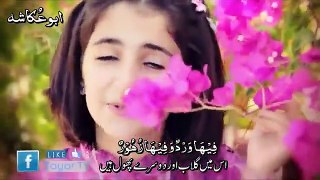 fi_ha_original_arabic_nasheed_with_arabic_and_urdu__subtitles_By_Abu_Ukasha(360p)