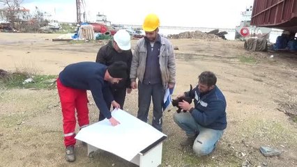 Haber çekimini sabote eden kedi, gülümsetti