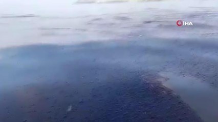 Peru Çevre Felaketine Karşı Acil Eylem Planına Geçti